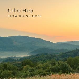 美女陰戶大合集
