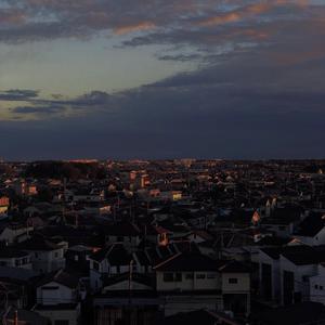 美女陰戶大合集
