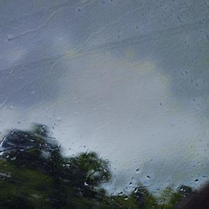 美女陰戶大合集
