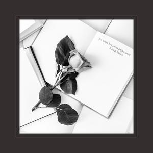 美女陰戶大合集
